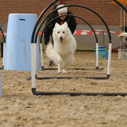 Workshop Hoopers Leden