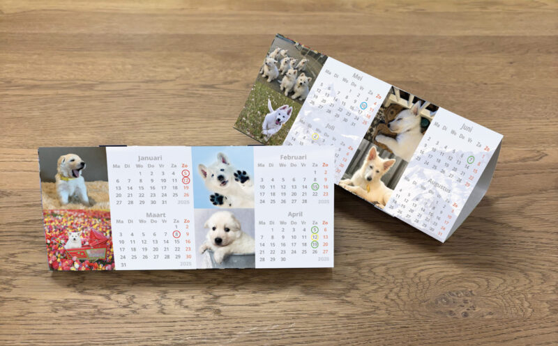 Buro kalender 2025