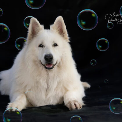 Creatieve portretfoto