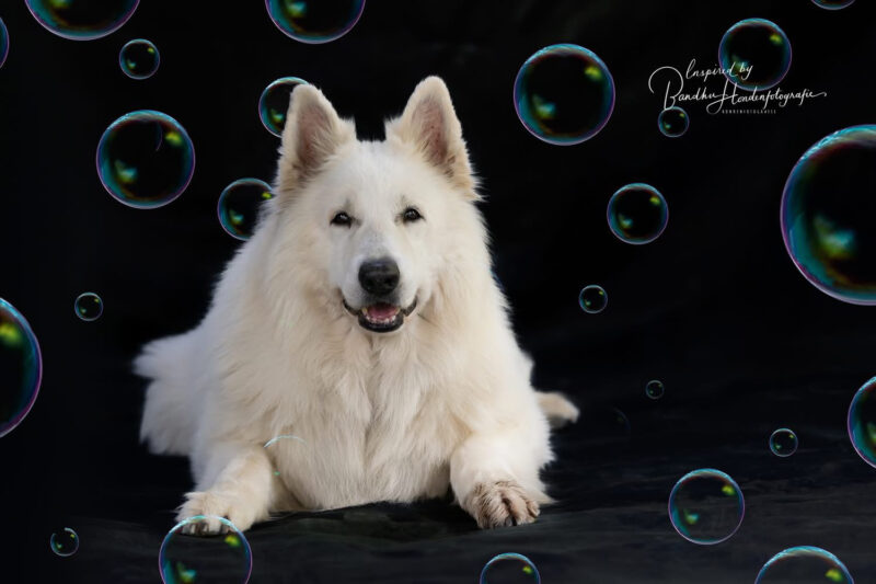 Creatieve portretfoto