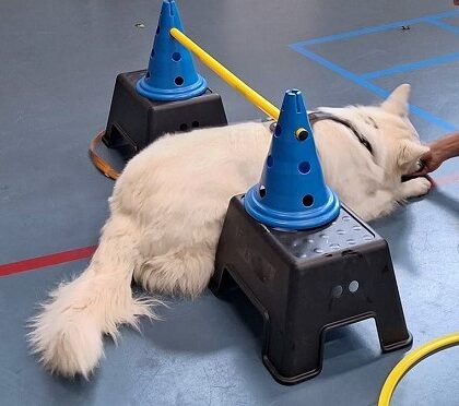 Workshop Body en Mind Leden