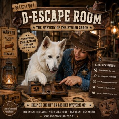 D-Escape Room Leden