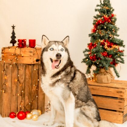 Kerstfoto